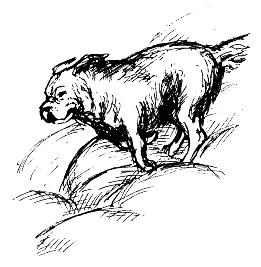 Леди удачи. Все пути… - i_050.png