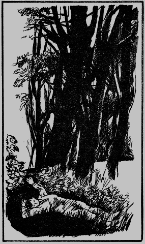 По законам войны - i_004.png