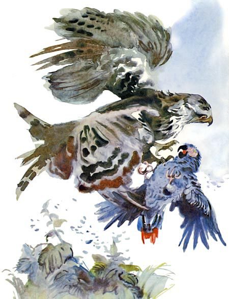 Воинственный Жако - i_007.jpg