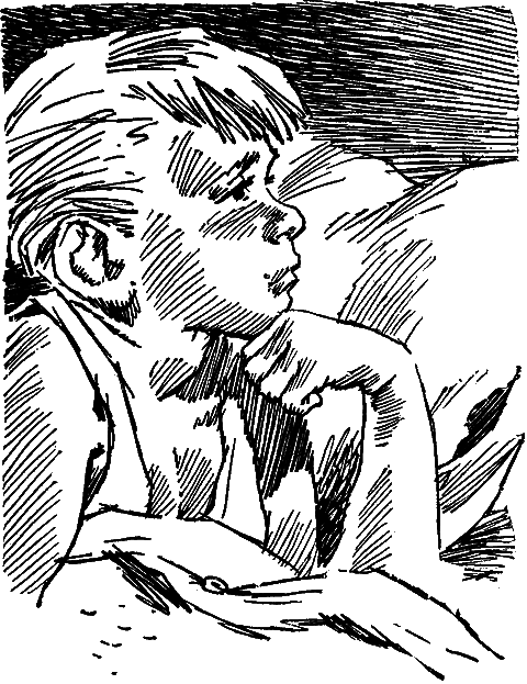 Вперед, мушкетеры!(сборник) - i_001.png