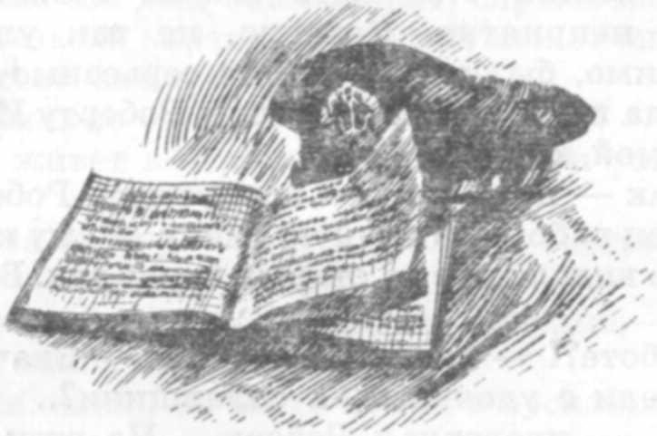 Тайна Корабельного кладбища - img_14.jpeg