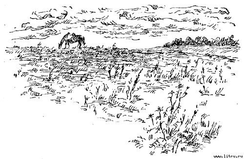 Дмитрий Донской - img12.jpg