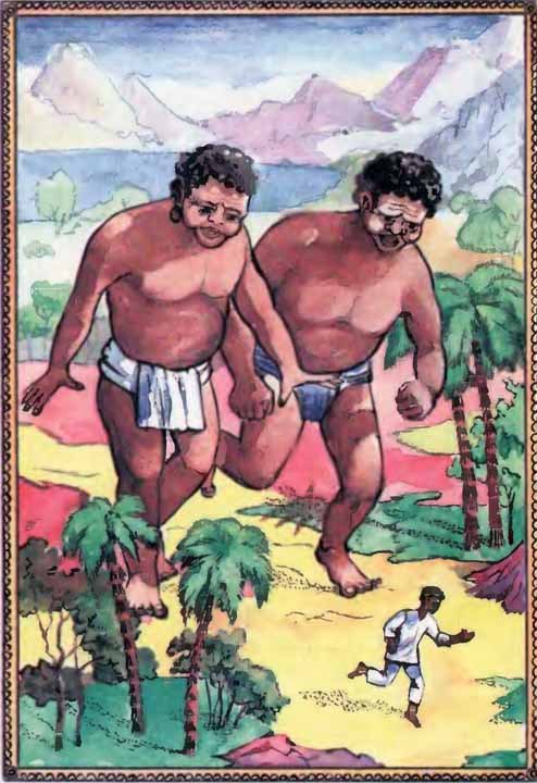 Сказки народов Австралии, Океании и Индонезии - i_021.jpg