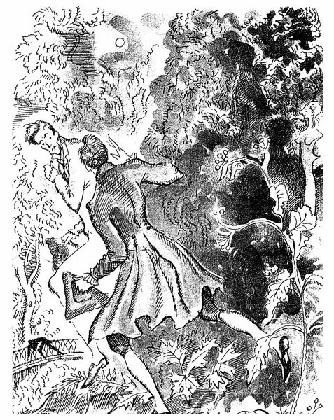 Житейские воззрения кота Мурра. Повести и рассказы - i_004.jpg