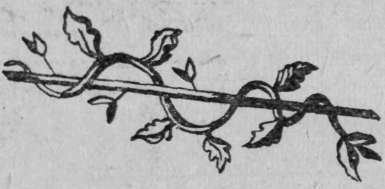 Сказки и легенды Вьетнама - doc2fb_image_02000052.jpg