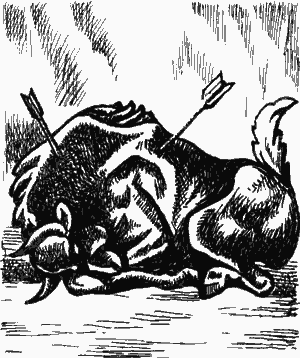 Двенадцать тысяч лет назад - i_007.png