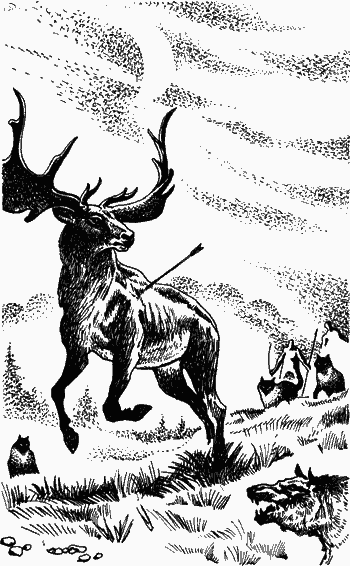 Двенадцать тысяч лет назад - i_022.png