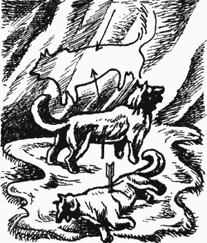 Двенадцать тысяч лет назад - i_025.png