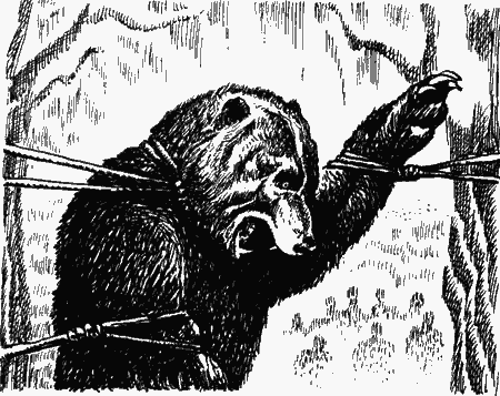 Двенадцать тысяч лет назад - i_027.png