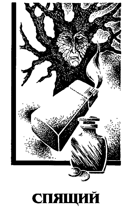 Миры Роджера Желязны. Том 11 - i_006.png