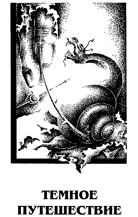 Миры Роджера Желязны. Том 19 - i_004.png