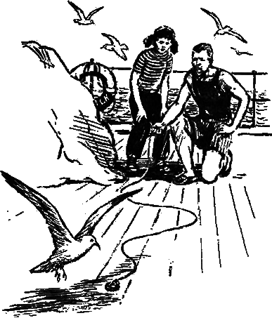 Пассажир дальнего плавания - i_006.png