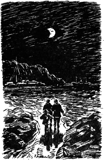 Пассажир дальнего плавания - i_023.png