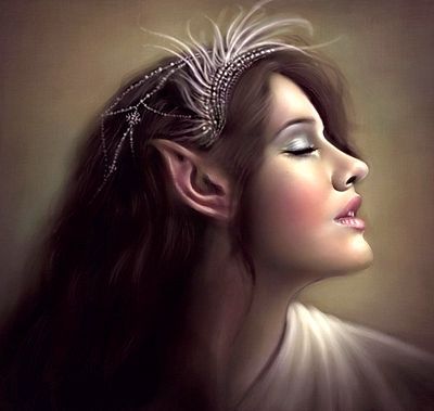 Семь невест рыцаря Дмитрия_1-2 часть (СИ- доработанное) - Elona2.jpg