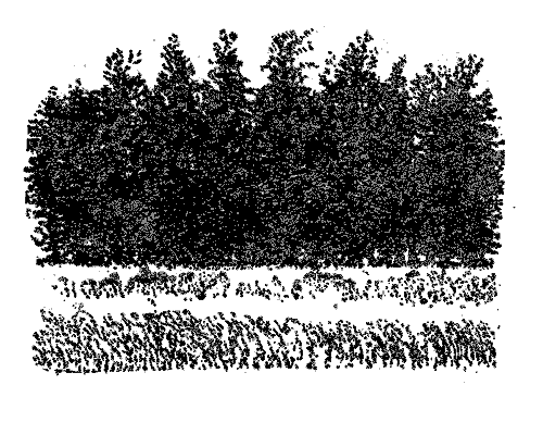 Собрание сочинений в четырех томах. Том второй. Лирика, повести в стихах, сатира, пьесы - Marsh4_2_4.png