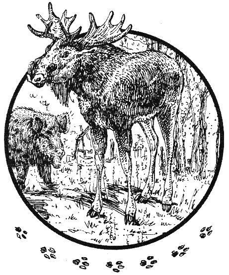 Хорюшка - _003.png