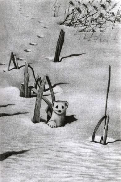 Хорюшка - _006.jpg