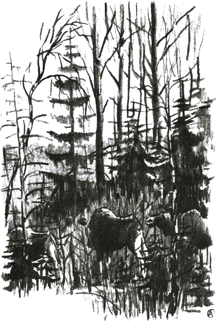 Хорюшка - _015.png