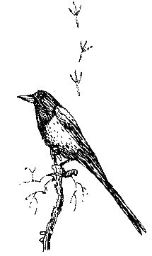Хорюшка - _026.png