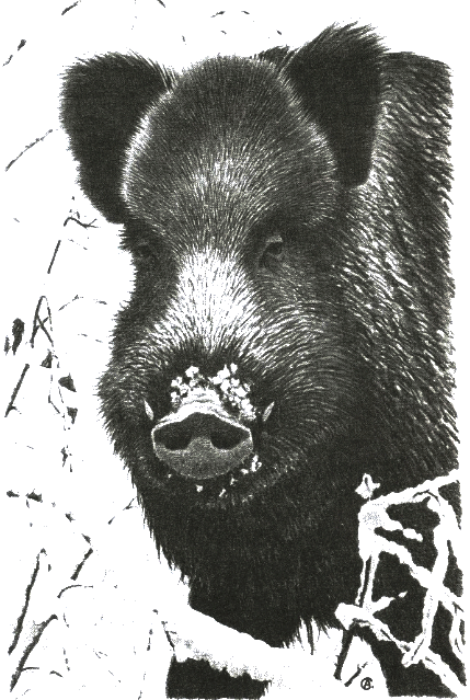 Хорюшка - _036.png