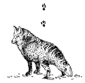 Хорюшка - _037.png
