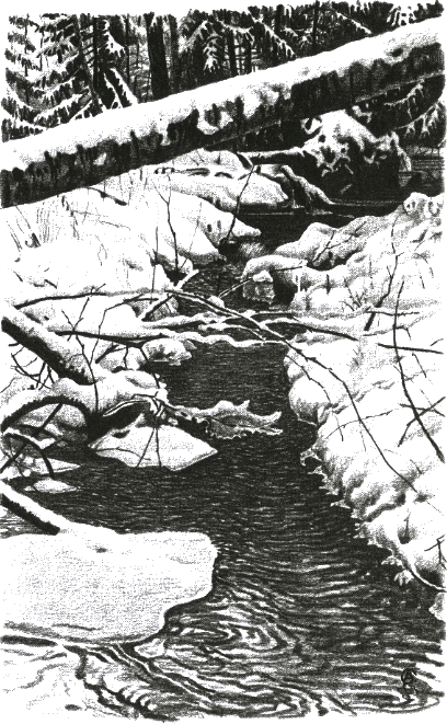 Хорюшка - _038.png