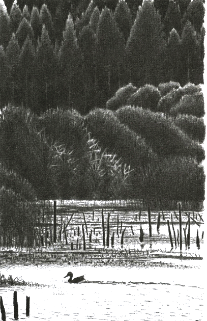 Хорюшка - _047.png