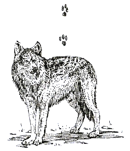 Хорюшка - _054.png