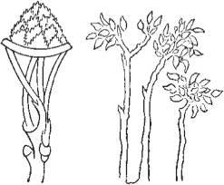 История искусства всех времен и народов. Том 2. Европейское искусство средних веков - i_267.jpg