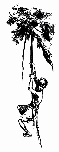 Бхомбол-ватажок - i_007.png