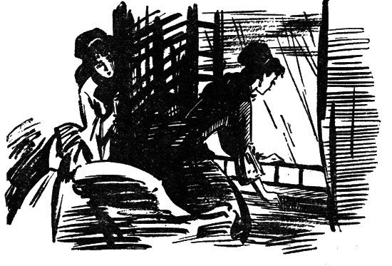 Собрание сочинений. том 7. - i_043.png