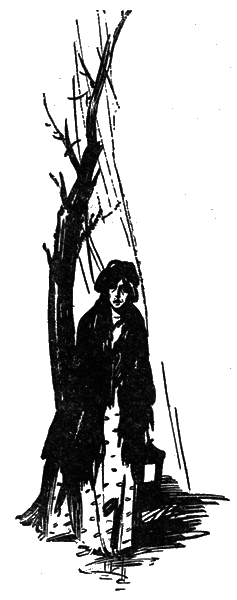 Собрание сочинений. том 7. - i_044.png