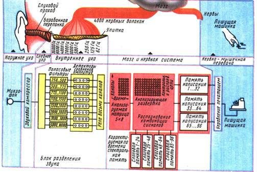 Занимательная анатомия роботов - pic_31.jpg
