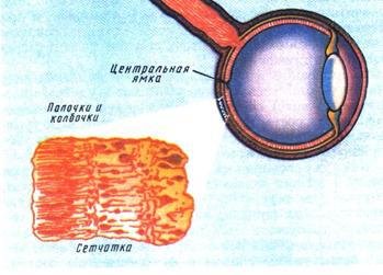 Занимательная анатомия роботов - pic_44.jpg