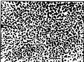 Занимательная анатомия роботов - pic_45.png