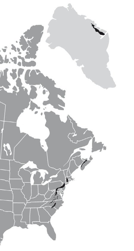 Вселенная внутри нас: что общего у камней, планет и людей - i_005.jpg