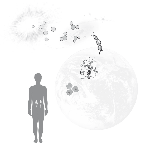 Вселенная внутри нас: что общего у камней, планет и людей - i_006.png