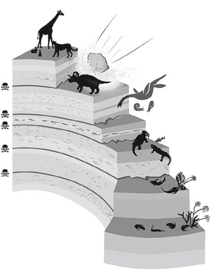 Вселенная внутри нас: что общего у камней, планет и людей - i_042.jpg