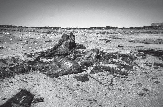 Вселенная внутри нас: что общего у камней, планет и людей - i_043.jpg