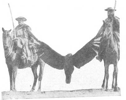 Искатель. 1962. Выпуск №6 - pic_57.jpg