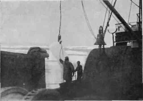 Поход «Седова»  [Экспедиция «Седова» на Землю Франца-Иосифа в 1929 году]  - img_6.jpeg