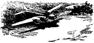 Вынужденная посадка - pic03.png