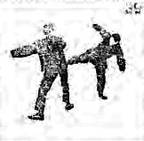 Основной курс тренировок. Том 2 - _39.jpg