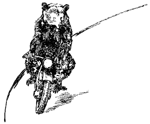 Звери на улице - _006.png