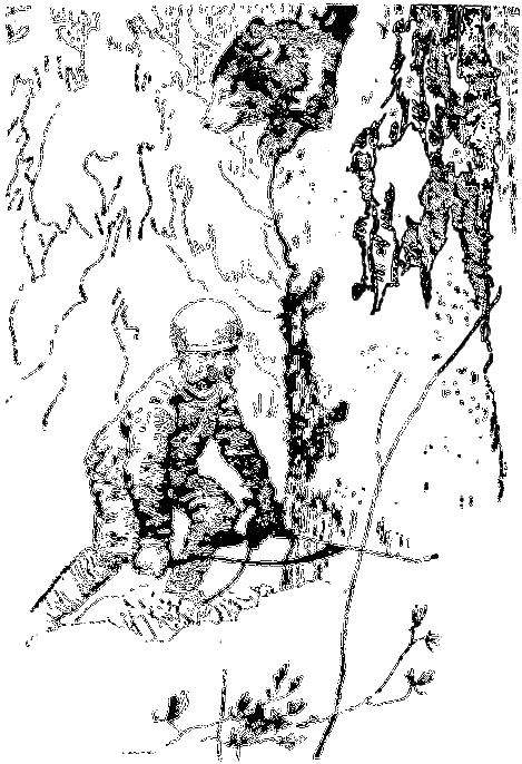 Звери на улице - _008.png