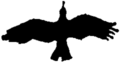 Шимпанзе горы Ассерик - i_004.png