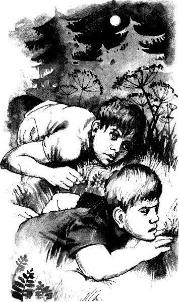 Последнее дело Блина - i_006.jpg