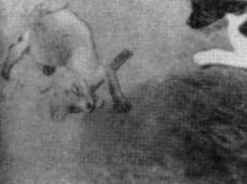 Собака и лисица - doc2fb_image_02000009.jpg