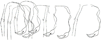 Собака и лисица - doc2fb_image_03000006.png