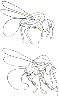 Собака и лисица - doc2fb_image_03000019.png